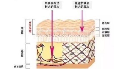 才是SK2+HR+Lamer組成的王炸！