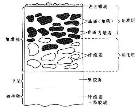 盤點四種需要來一針的膚質