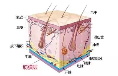 沒有誰能永遠年輕，不老都是保養的早！