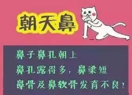 假體隆鼻