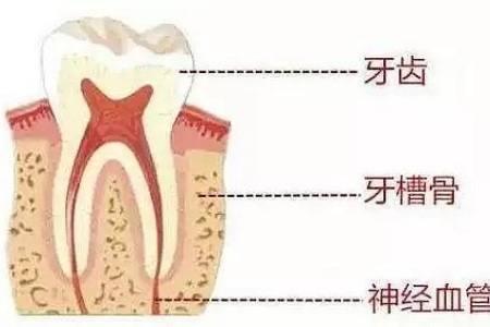 做牙齒矯正 ，真的要趁早！