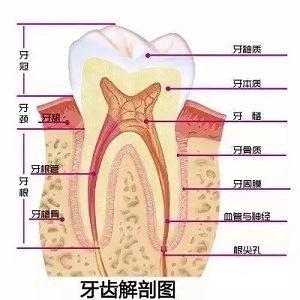 問診室：為什么我的牙卻永遠也刷不白？