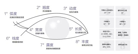 美眼張誠坐診美萊，淺談為什么你的眼睛不夠美？