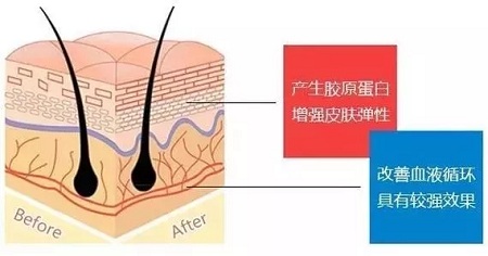 關于*雕，你想了解的都在這里！