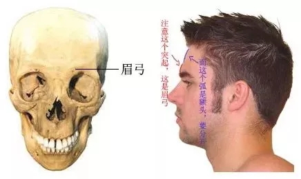 想要歐式大眼，一定要注意與這個部位協調！