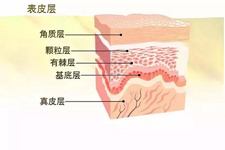 皮膚美白有哪些方法